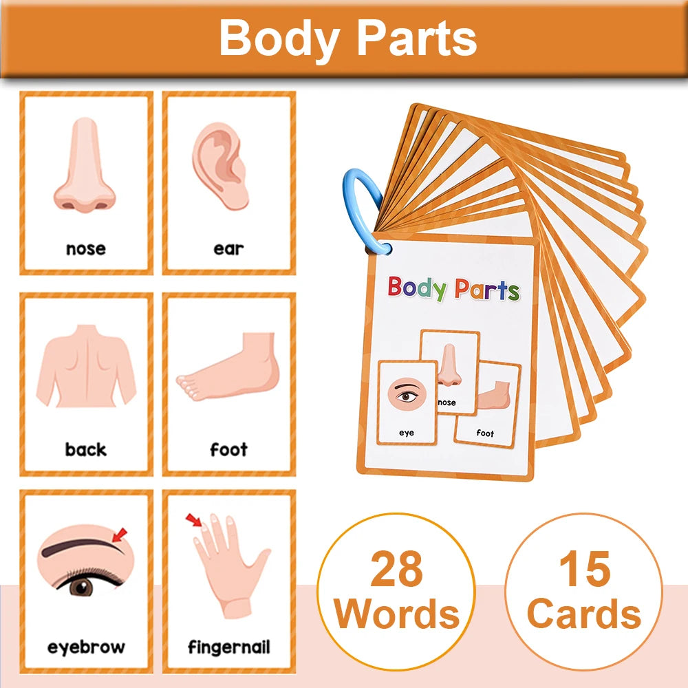 Montessori English Word Learning Cards for Kids