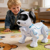 Un chien robot musical blanc interactif assis sur un tapis coloré à côté d'un jeune garçon.