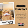 A plush toy of a cat with large round eyes and a grumpy expression, presented on a brown background.