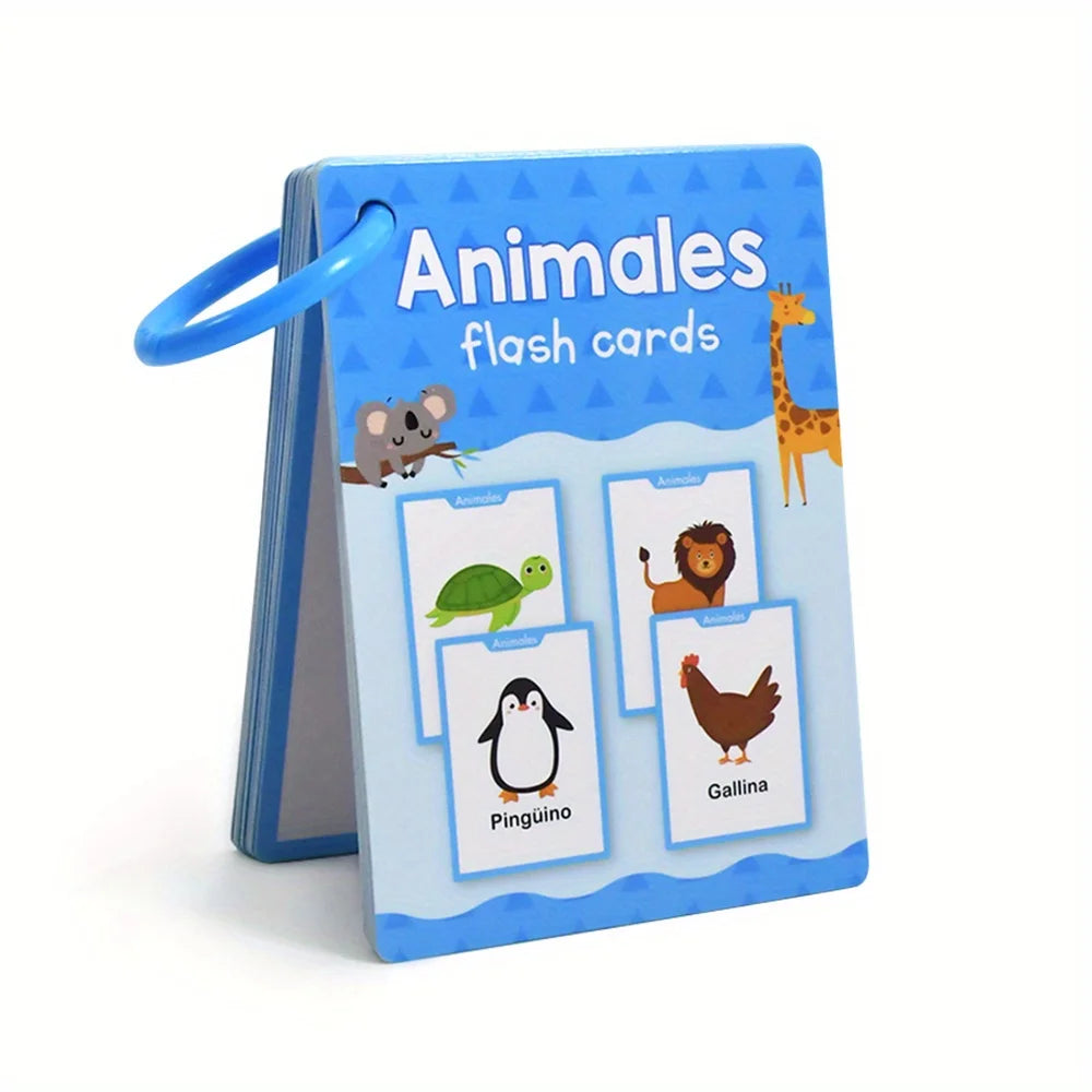 Spanish Vocabulary Learning Flashcards for Kids