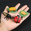 A hand holds three insects on green leaves: a striped caterpillar, a black beetle, and a red ladybug.