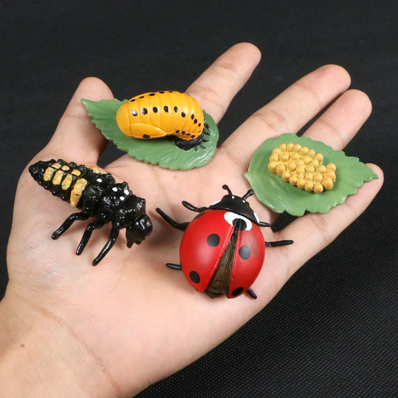 A hand holds three insects on green leaves: a striped caterpillar, a black beetle, and a red ladybug.