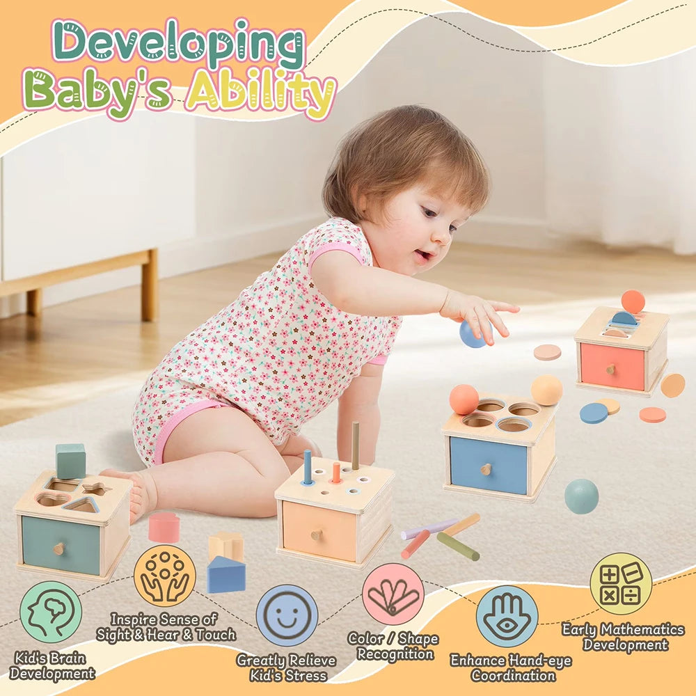 Wooden Montessori color sorting and shape sorter toys for toddlers with various colored blocks