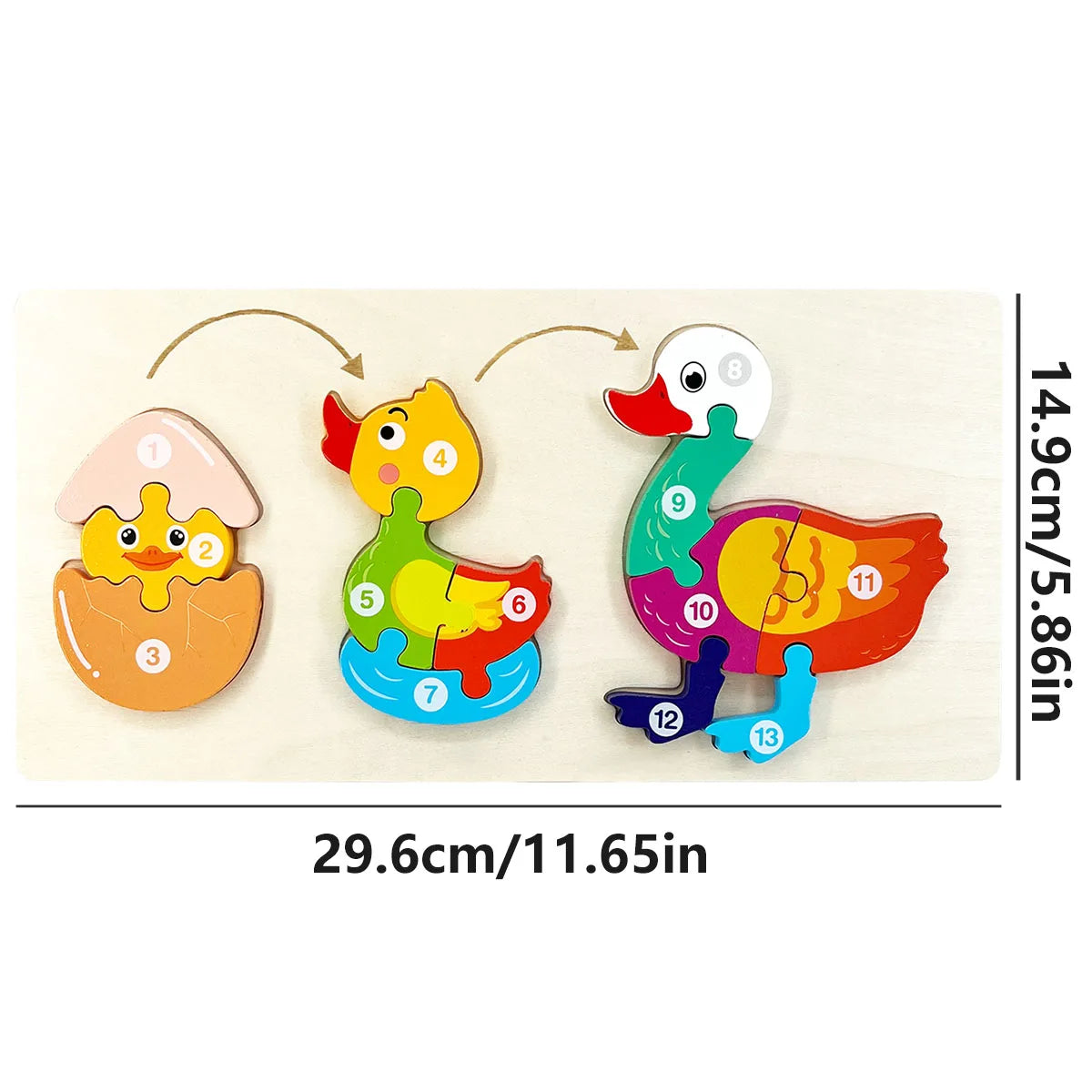 A wooden puzzle featuring a cartoon dinosaur with numbered parts, demonstrating growth and change.