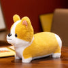 A fluffy yellow and white Corgi plush toy sitting on a wooden surface.