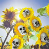 A collection of skull-shaped decorations placed on yellow sunflower blooms.