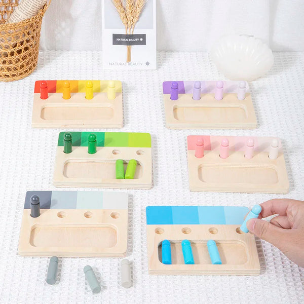 A wooden color matching Montessori toy showing various colored blocks and matching tools on a white surface.