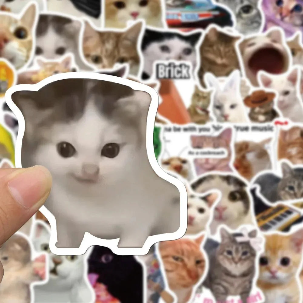 A collage of funny cat faces used as stickers for laptops and water bottles
