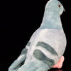 Kawaii Plush Pigeon Stuffed Animal – Soft Cuddly Dove Toy for Decor and Gifting