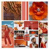 A collection of liquid fabric dyes and finished textile products including natural pigments, clothing, and craft materials.
