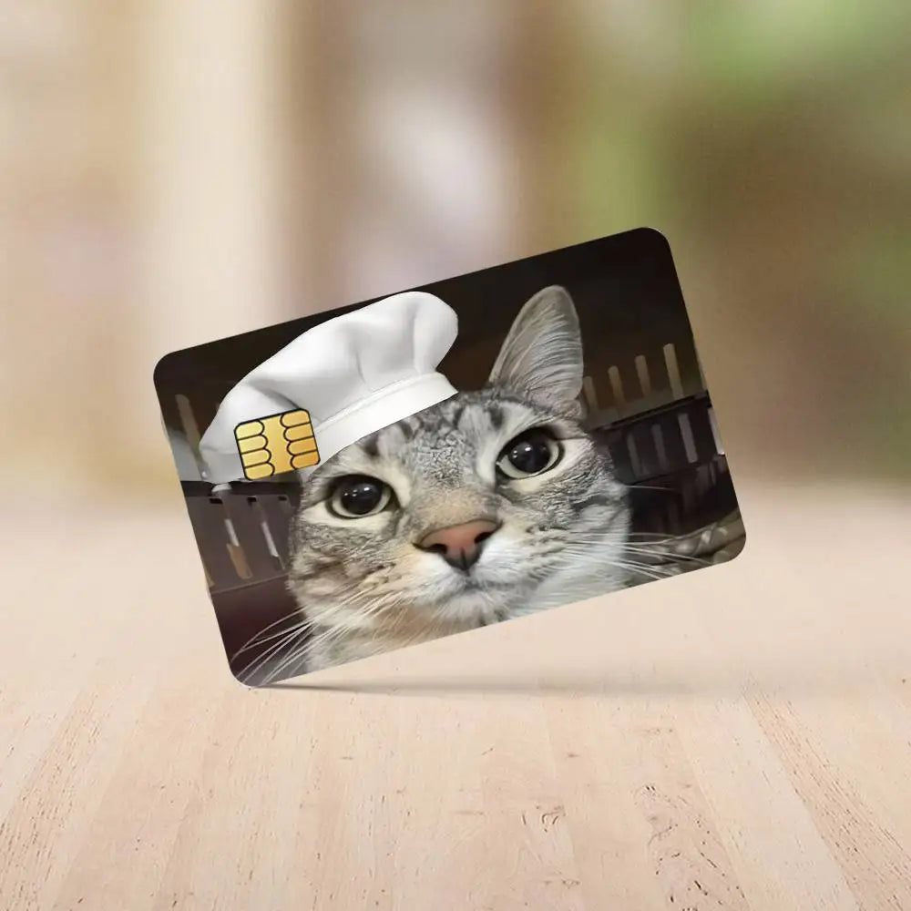 A cat wearing a chef's hat looking directly at the camera on a black card.