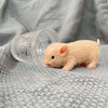 A small, light orange silicone piglet doll lying on a gray fabric next to a clear glass.