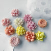 3D Succulent Flower Silicone Mold Set for Baking & Crafts