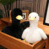 A pair of realistic call duck plush toys, one black and one white, displayed in a wooden box.