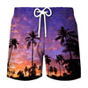 Men's beach swim shorts with a tropical coconut tree print against a sunset sky.