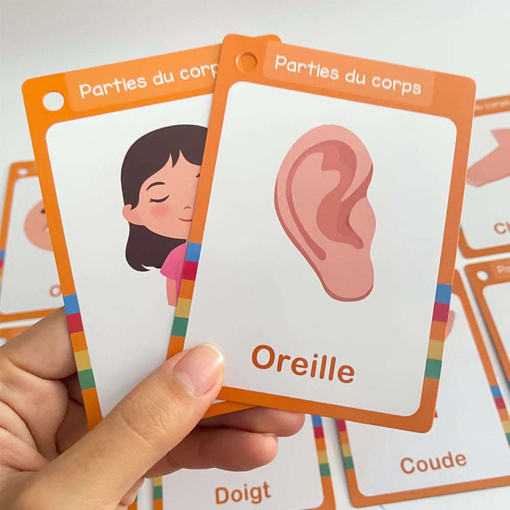 A hand holds several orange and white flash cards showing parts of the body, including an ear and a nose.