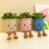 Three plush succulent toys in pastel pots with green leaves standing on a white surface.