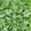 Green acrylic butterfly shell beads used for DIY jewelry making