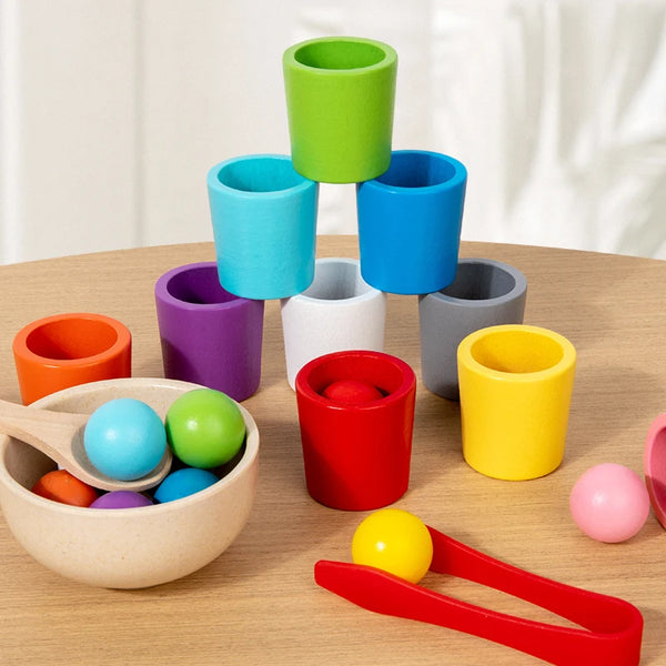Montessori Wooden Color Cups Matching & Sorting Toy