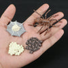 A hand holds a set of preserved insects and plant material for animal and plant life cycle learning.