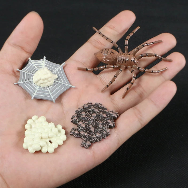 A hand holds a set of preserved insects and plant material for animal and plant life cycle learning.