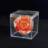 Beyblade X CX-00 Valkyrie Volt S4-70V Spinning Top Toy