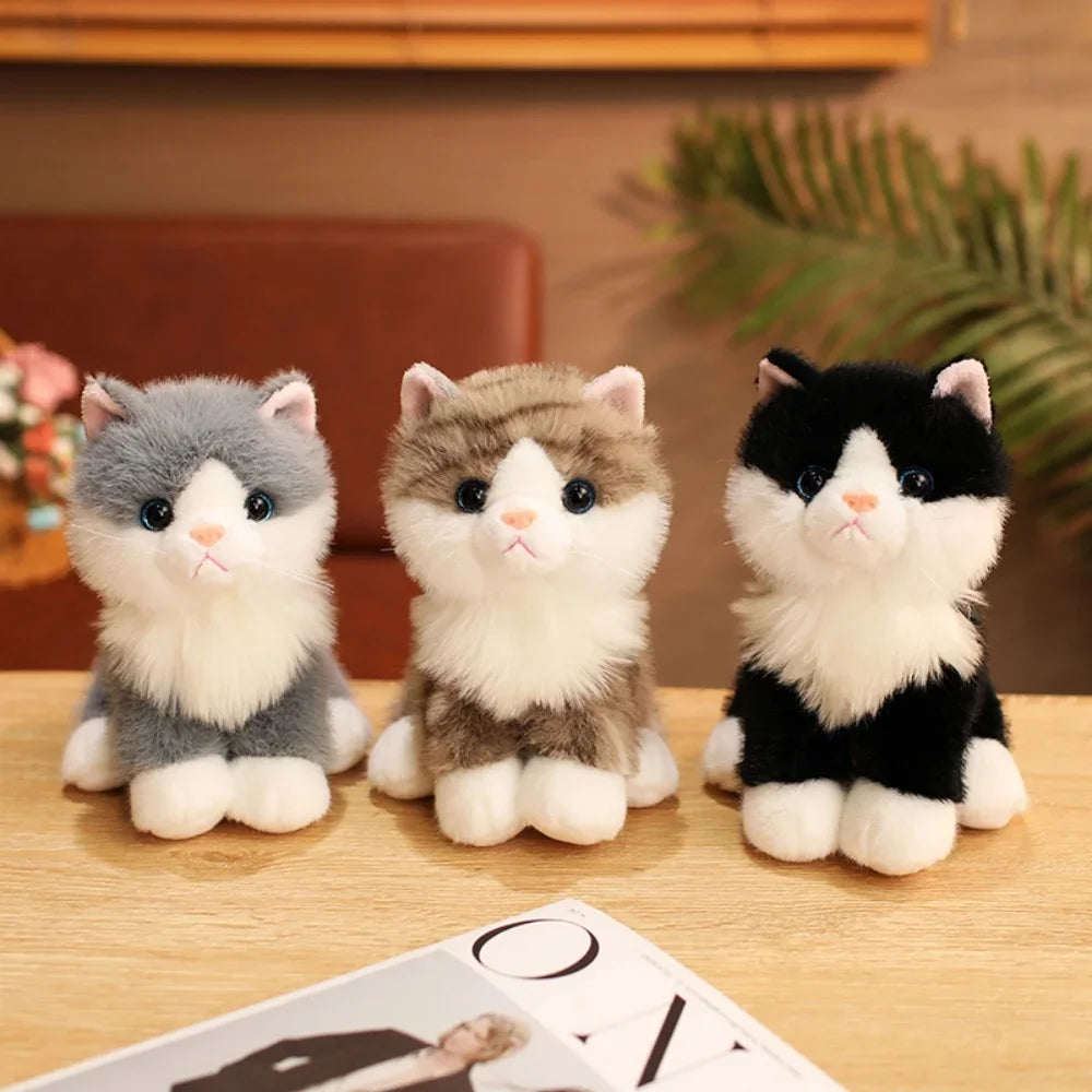 Three adorable sitting kitten plush toys in gray, brown, and black with white accents.