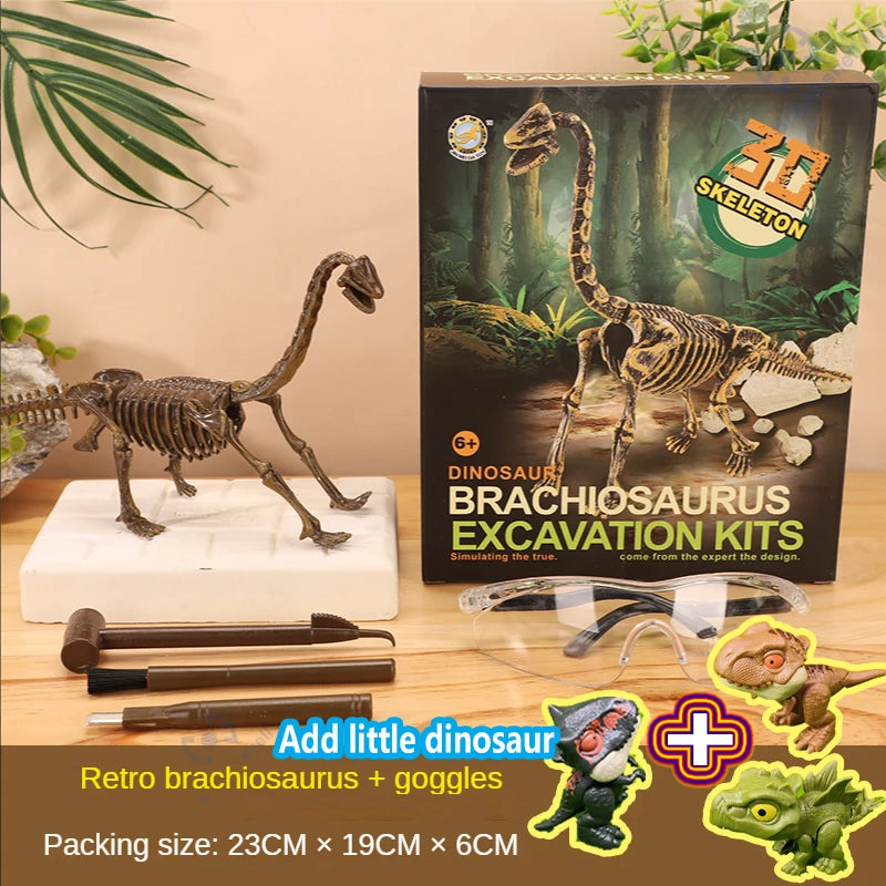 A box of dinosaur excavation kits showing a Brachiosaurus skeleton model and goggles.