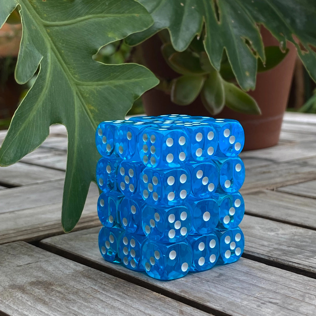 A stack of 36 transparent blue dice in a clear display case resting on a wooden surface next to a large green leaf.