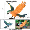 Realistic Bird Figurine Set – Educational PVC Models for Kids and Collectors