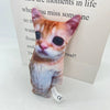 A small, plush cat doll with orange and white fur is displayed on a white box.