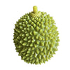 A green durian fruit with spiky skin and a yellow stem.