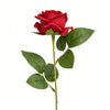 A single deep red rose with green leaves on a stem.