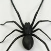 Realistic Spider Fridge Magnet – Fun Prank Decor