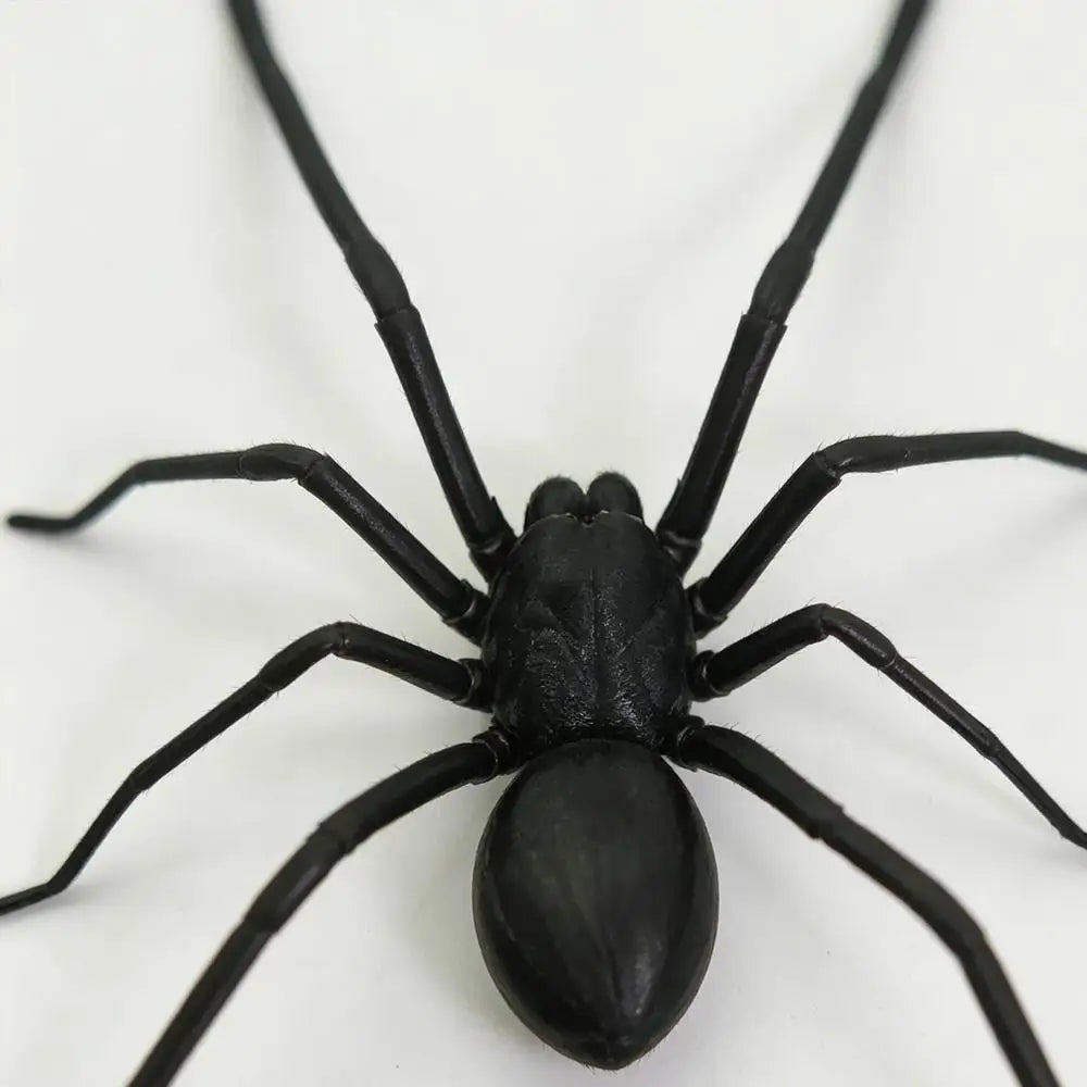 Realistic Spider Fridge Magnet – Fun Prank Decor