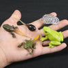A hand holds a set of three plastic frogs, including a green frog, a dark frog, and a clear, textured frog.