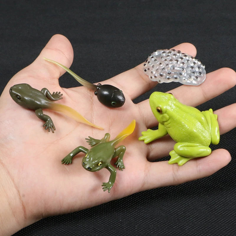 A hand holds a set of three plastic frogs, including a green frog, a dark frog, and a clear, textured frog.