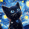 A black kitten with bright blue eyes stares up at a starry night sky.