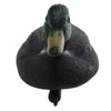 A realistic black duck decoy with a green head and yellow eye, shown from the back.