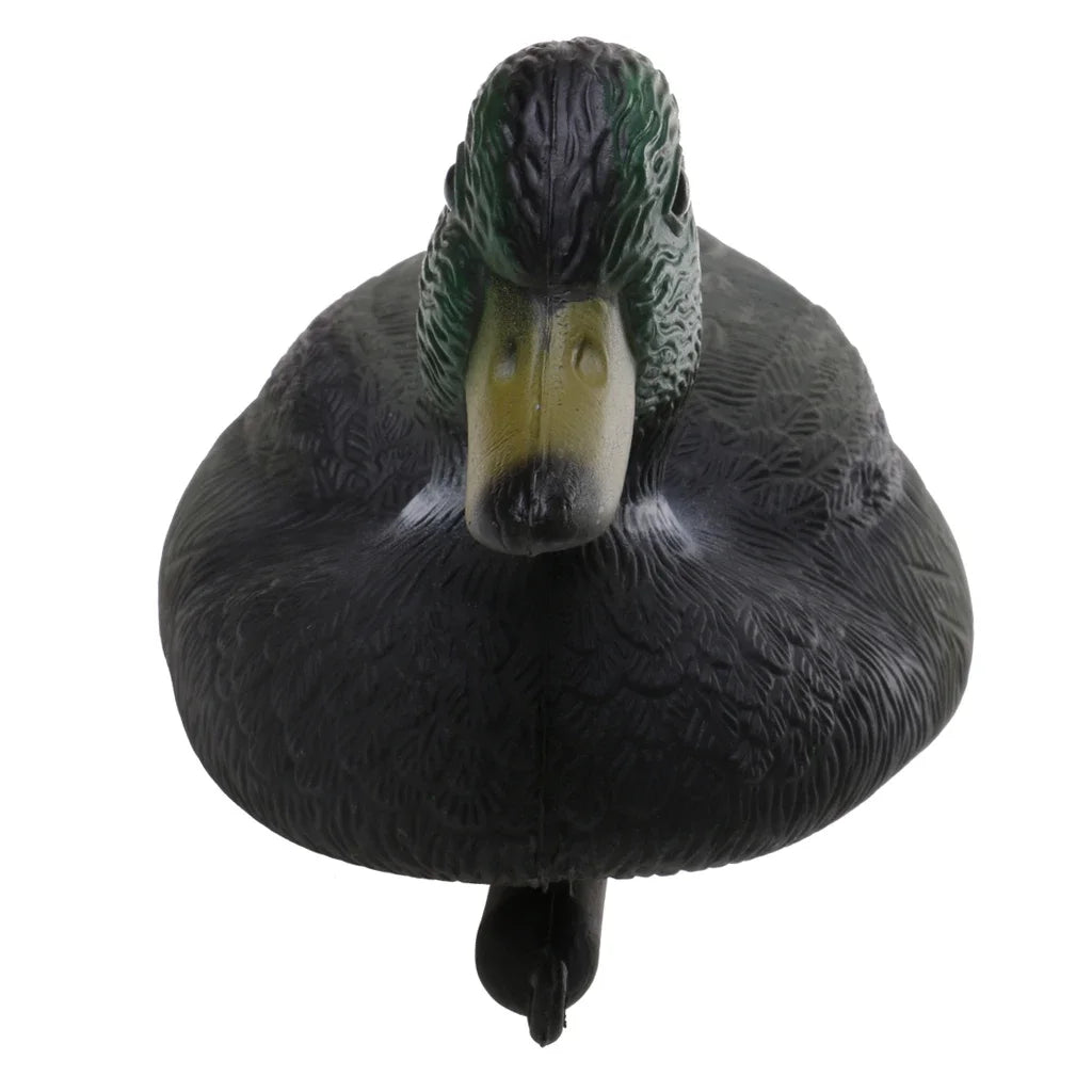 A realistic black duck decoy with a green head and yellow eye, shown from the back.