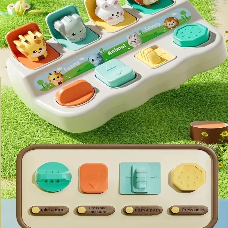 Montessori Pop-Up Animal Toy & Learning Box Set