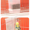 Clear Anti-Spill Parrot Bird Feeder