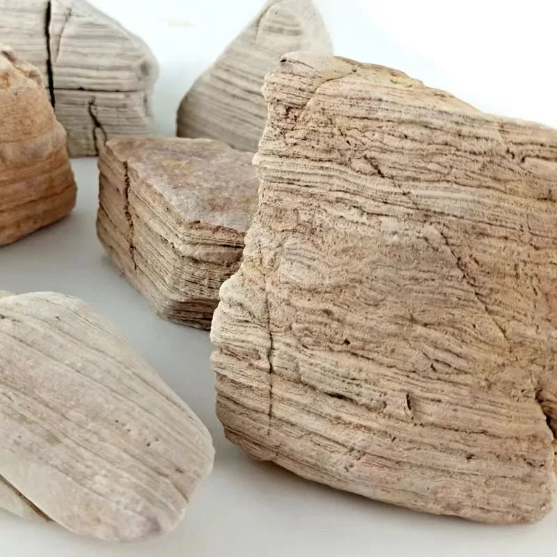 A collection of natural, light beige and gray microporous aquarium stones for planted tanks.