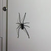 Realistic Spider Fridge Magnet – Fun Prank Decor