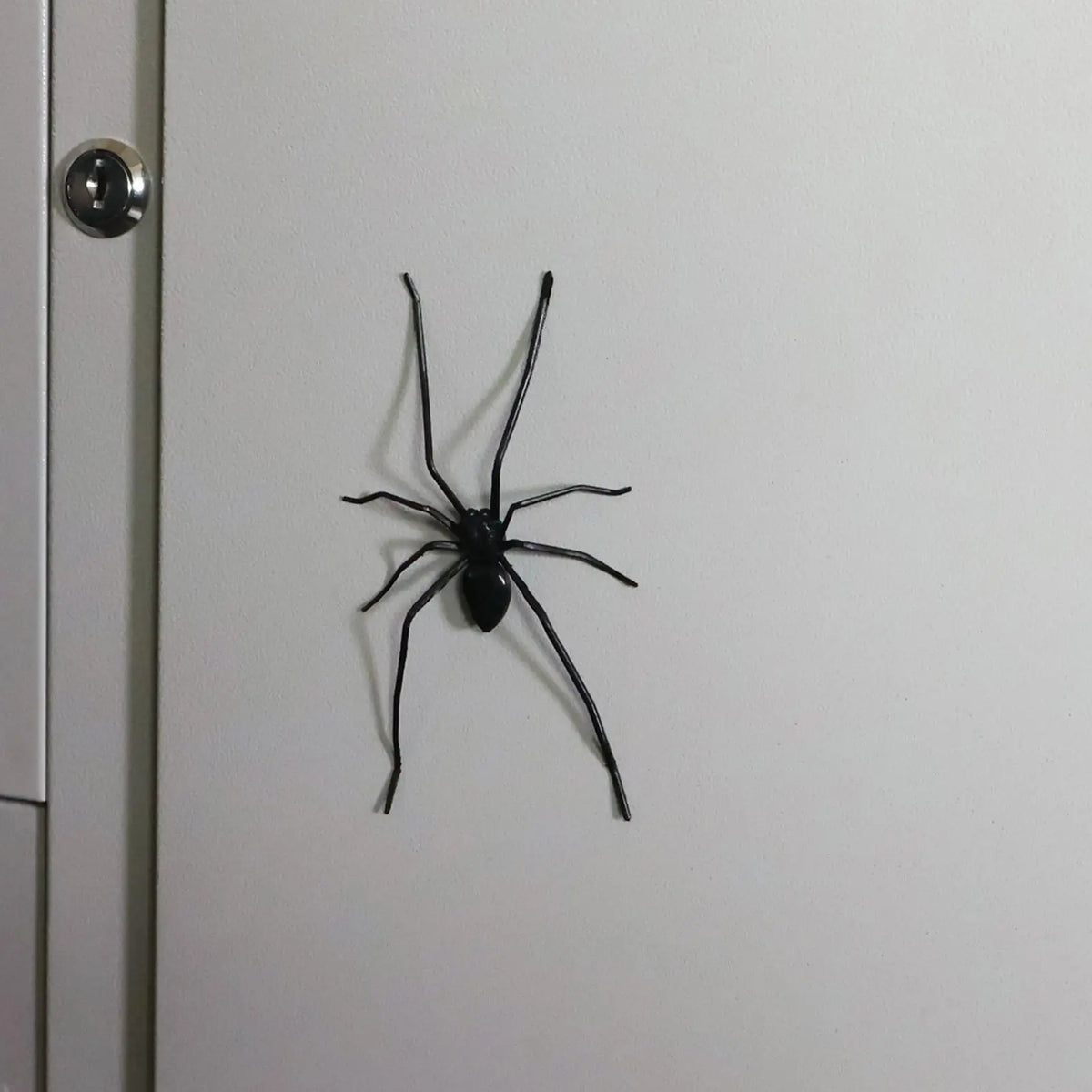Realistic Spider Fridge Magnet – Fun Prank Decor