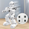 Interactive Dancing Robot with Remote Control and Gesture Sensing