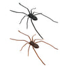 Realistic Spider Fridge Magnet – Fun Prank Decor