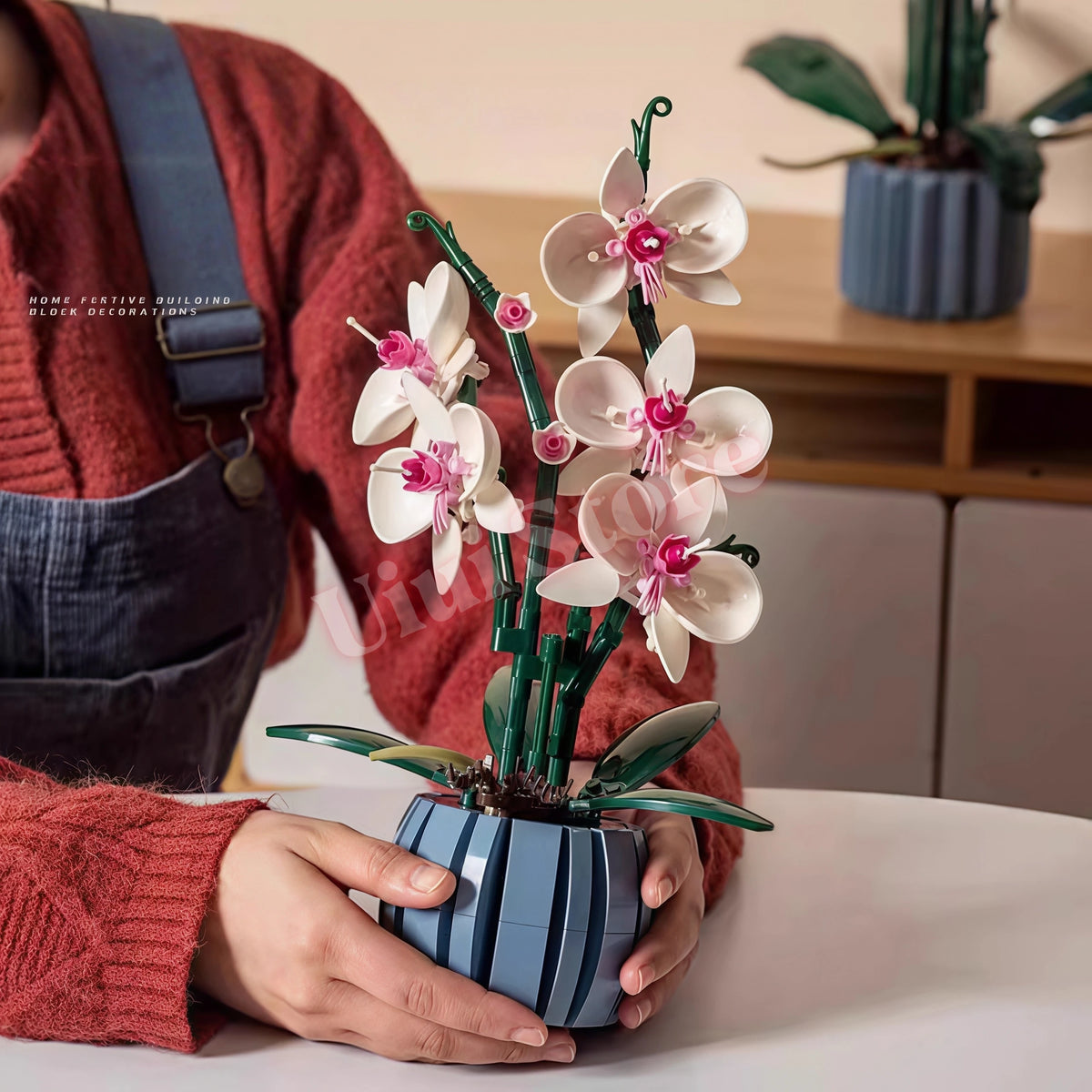 A person holds a bouquet of pink and white everlasting flowers in a blue pot on a table.