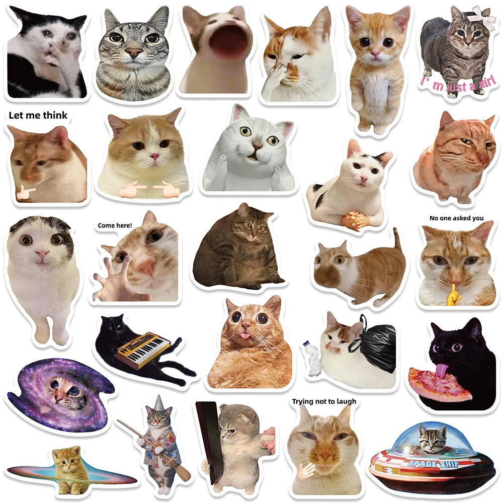 A collection of funny cat meme stickers featuring various expressions and poses.