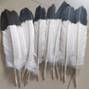 Set of 12 Natural Two-Color Eagle Tail Feathers for DIY Crafts